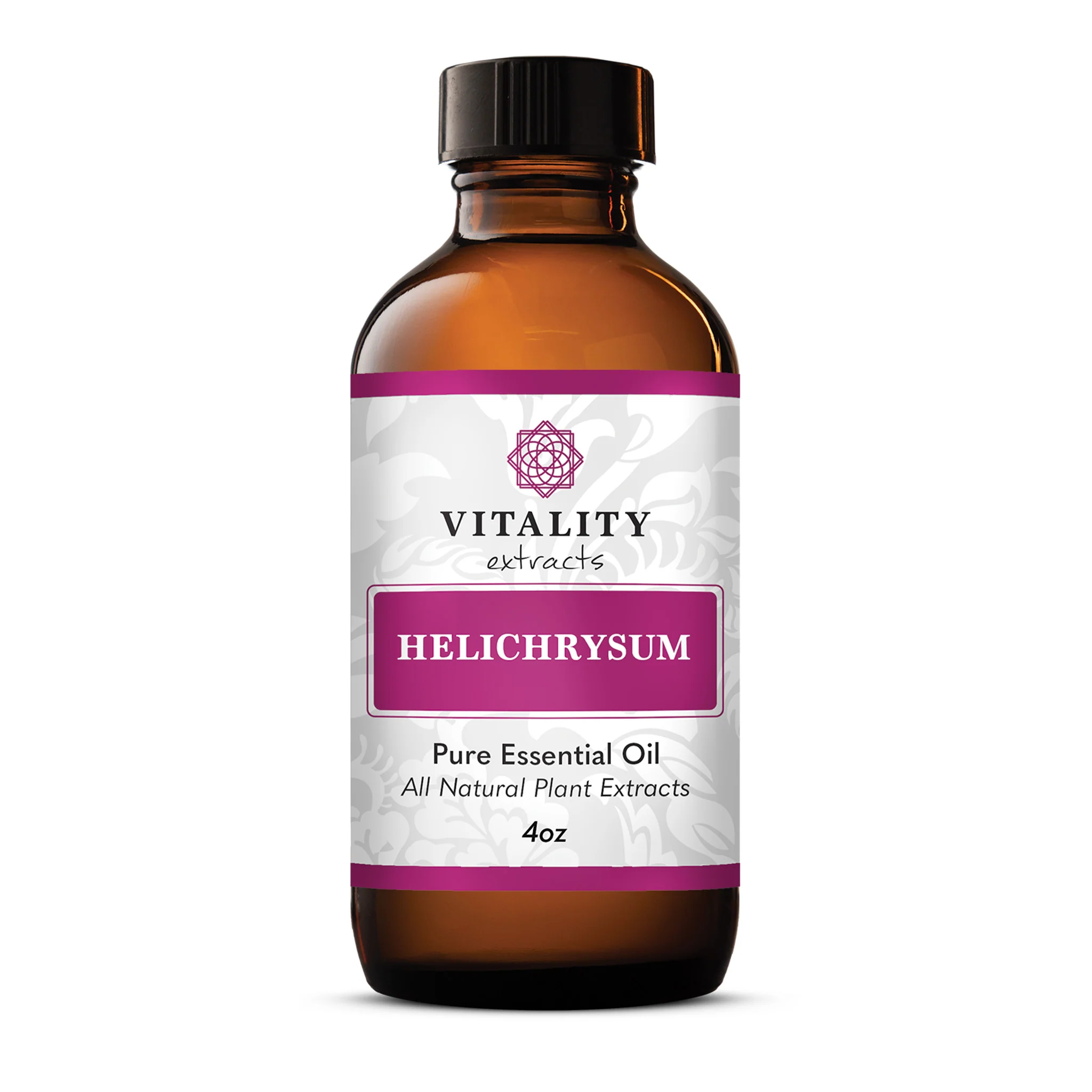 Helichrysum - Image 12