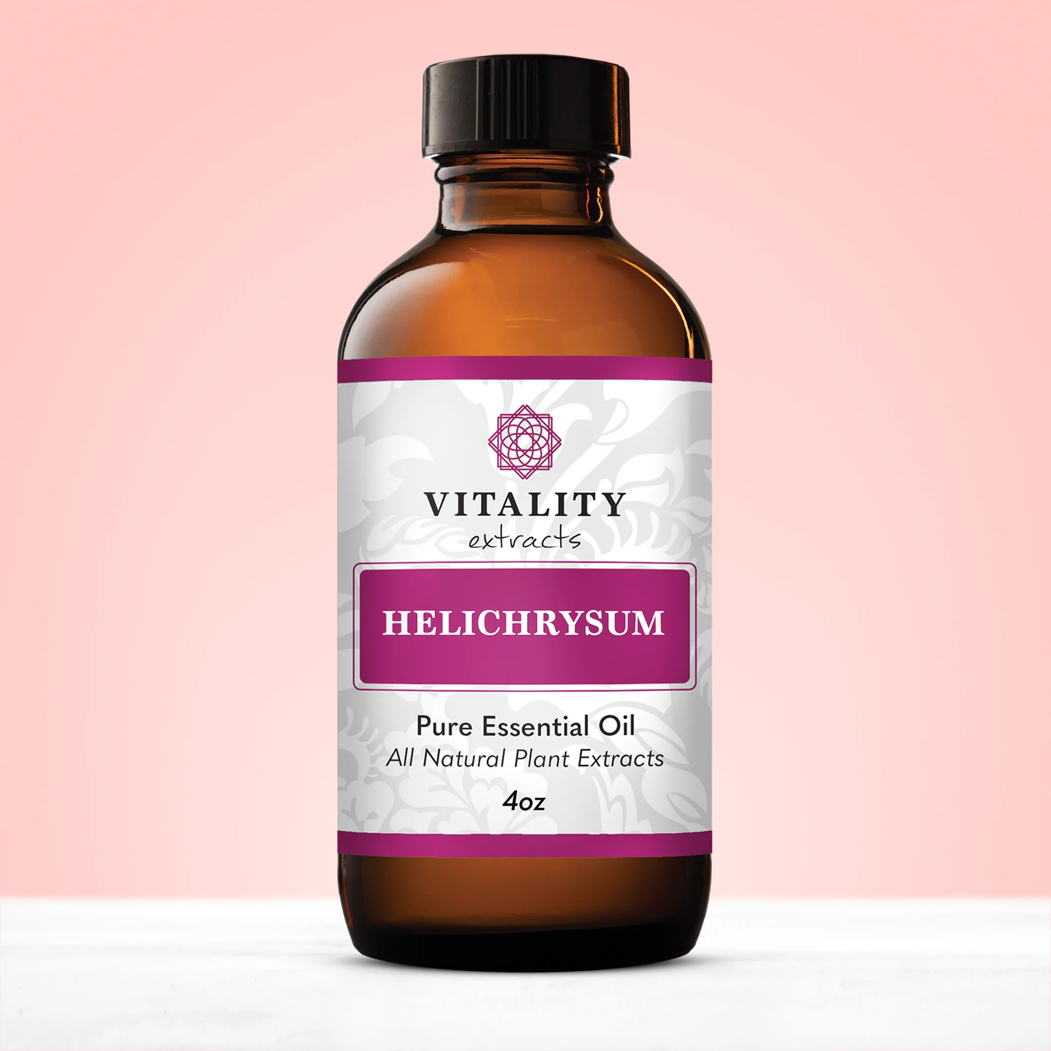 Helichrysum - Image 4