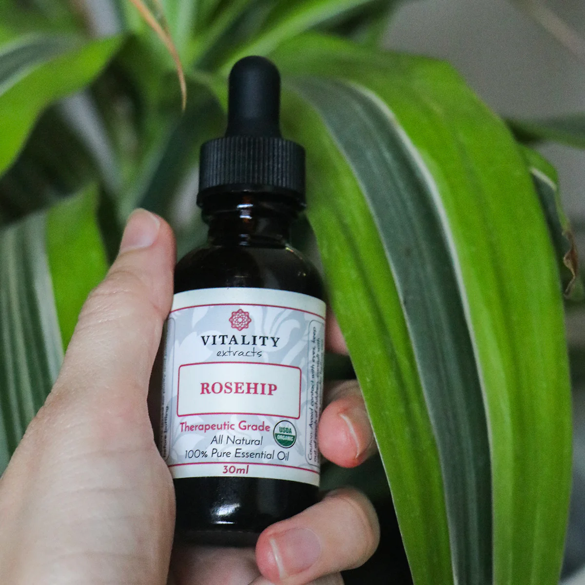 Rosehip Oil (Organic) - Image 3