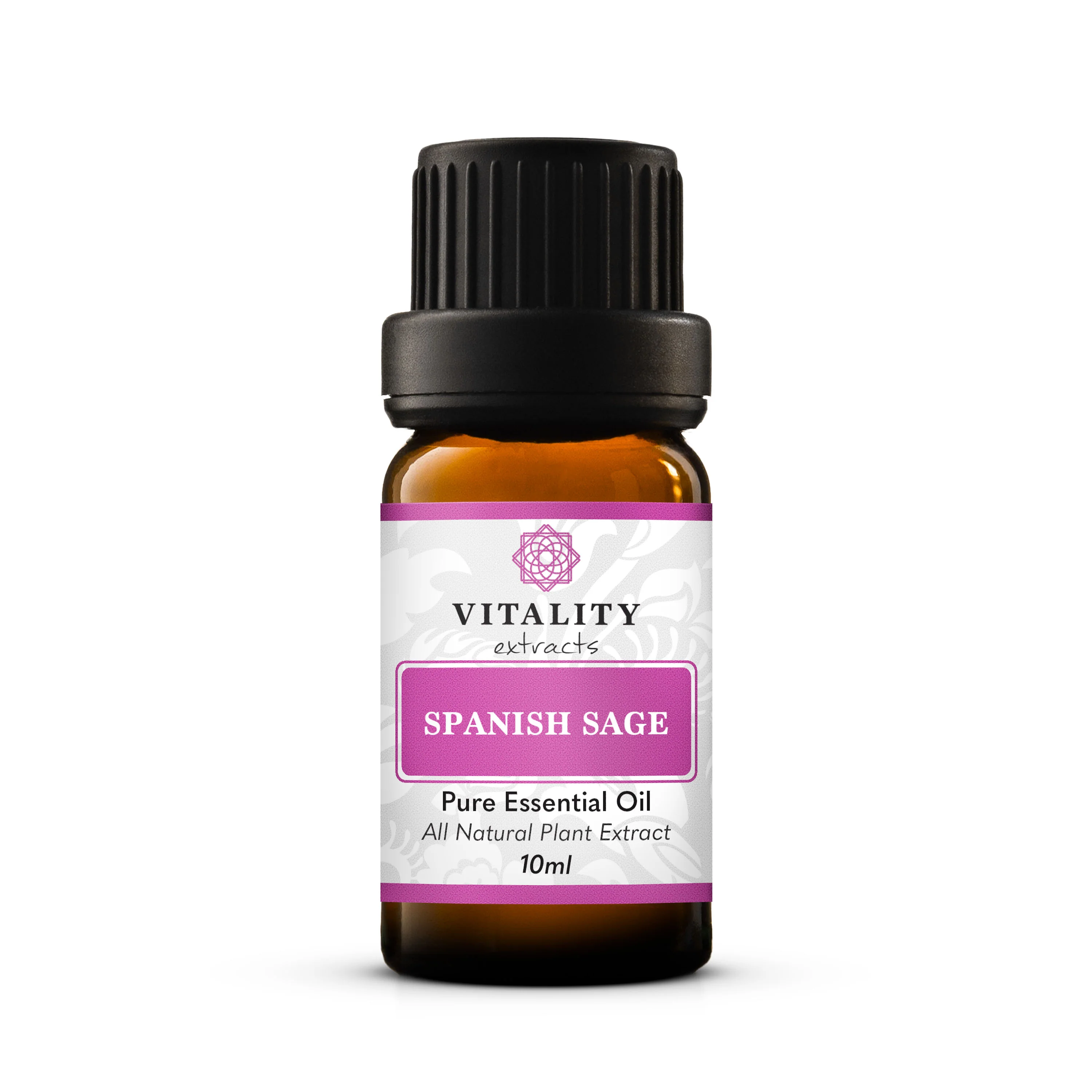 Spanish Sage - Image 4
